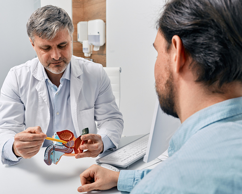 Urology Urology