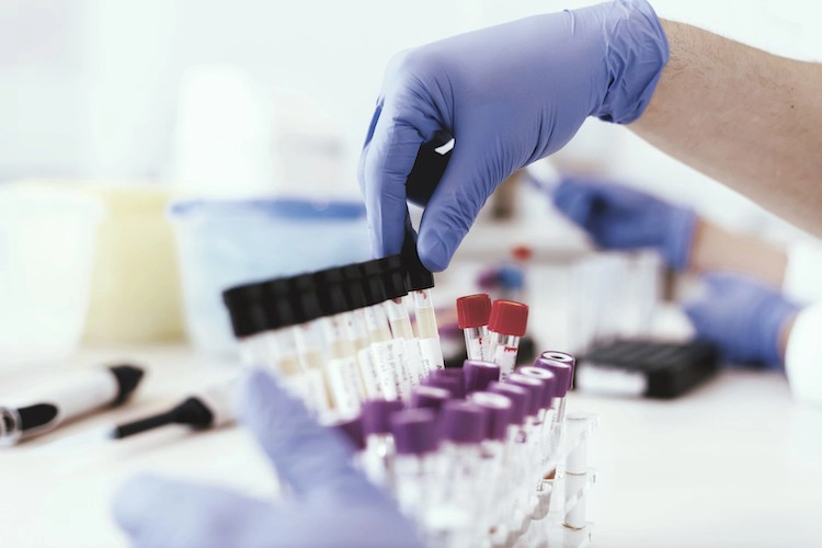 Laboratory Laboratory